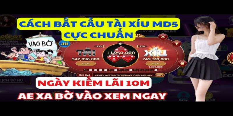 cách bắt cầu tài xỉu