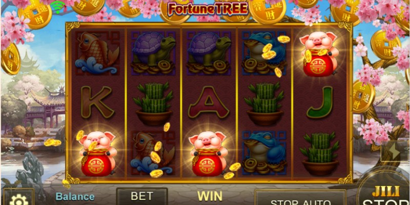 Luật chơi cơ bản của JILI Fortune Tree